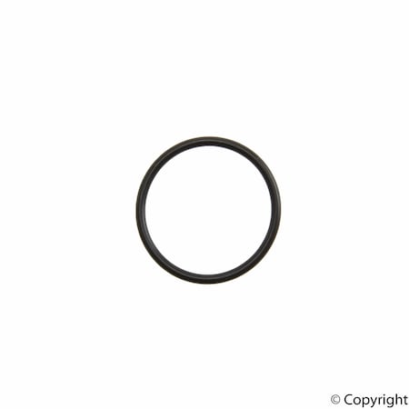 Reinz Seal Ring, 407666700 407666700